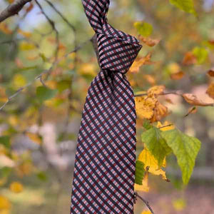 Terracotta gingham plaid tie in fall colors hanging outside in autumn